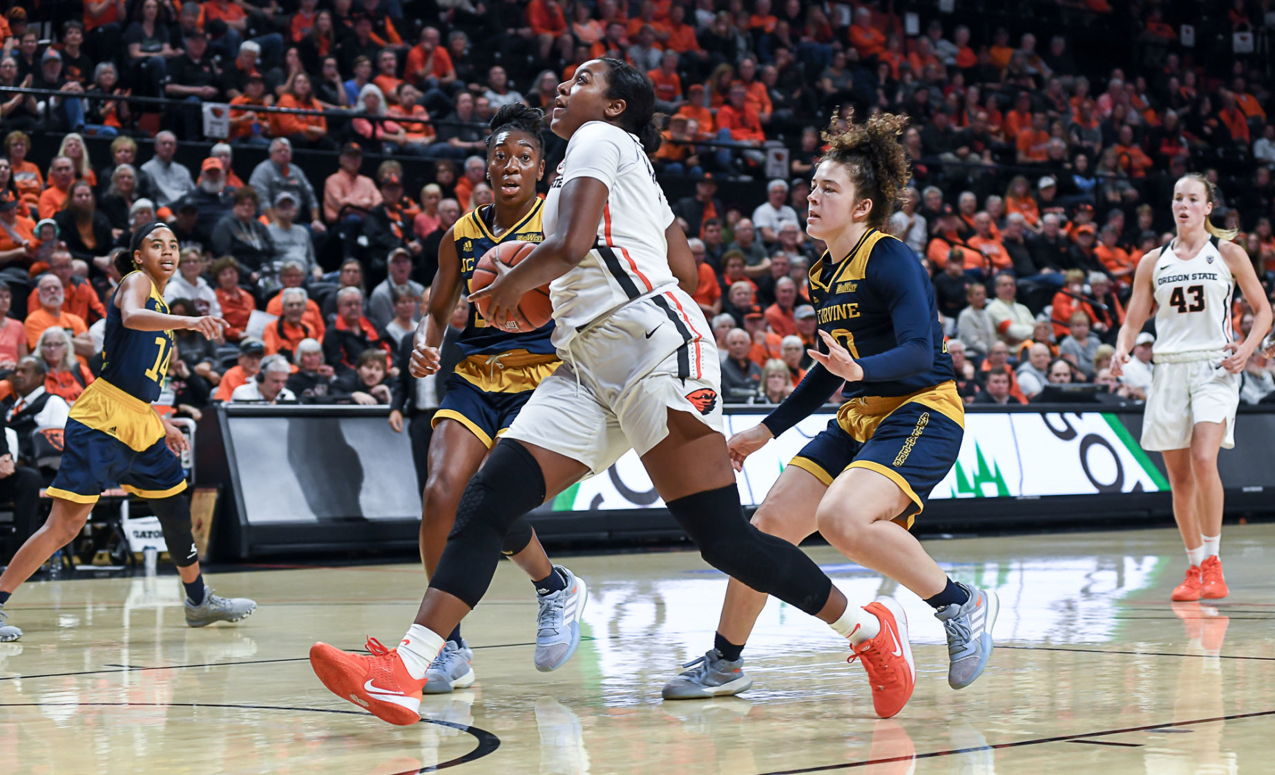 Gallery: OSU vs UC Irvine 23